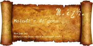 Molnár Ágota névjegykártya